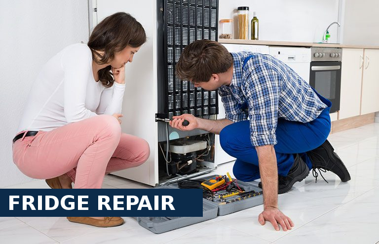 Fridge Repair Bermondsey